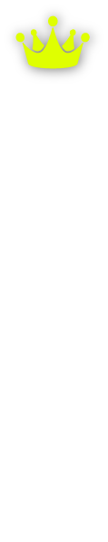 ゼロ高「最大の祭典」
